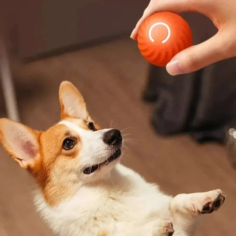 Automatic Moving Dog Toy Ball, USB Rechargeable Smart Interactive Bouncing & Rolling Chew Toy for Puppies & Dogs