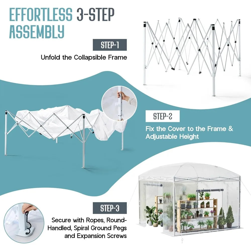 Pop Up Greenhouse With Reinforced Frame And Mesh Windows
