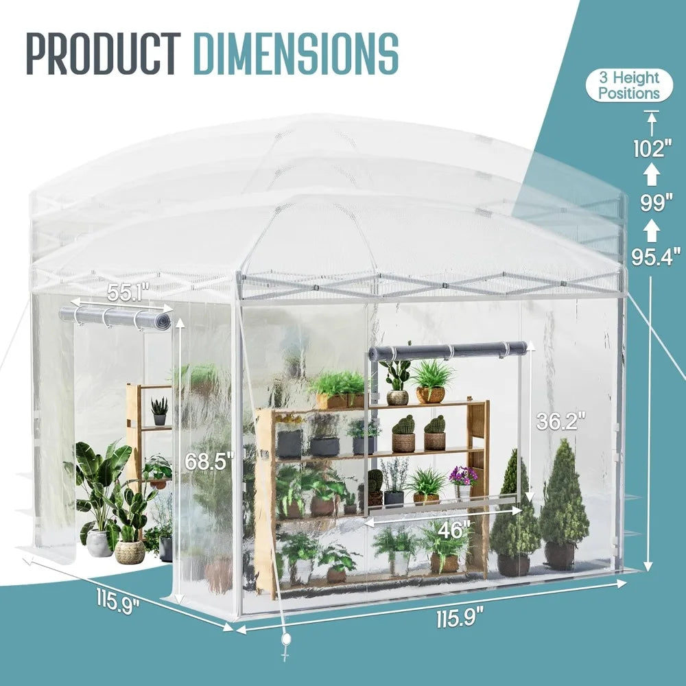 Pop Up Greenhouse With Reinforced Frame And Mesh Windows
