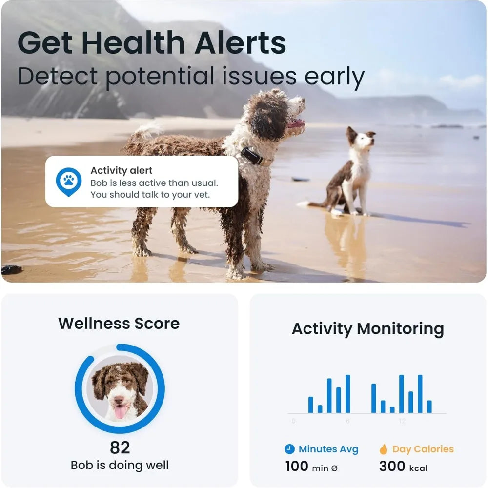 Tractive GPS Dog Tracker Real Time Location And Alerts