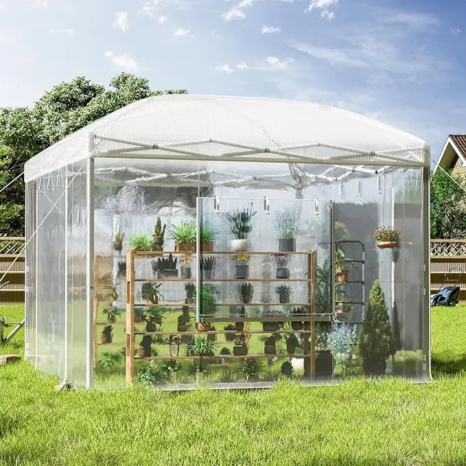 Pop Up Greenhouse With Reinforced Frame And Mesh Windows