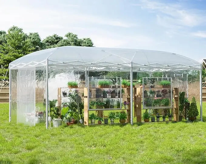 Pop Up Greenhouse With Reinforced Frame And Mesh Windows