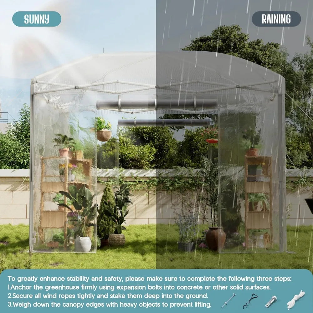 Pop Up Greenhouse With Reinforced Frame And Mesh Windows