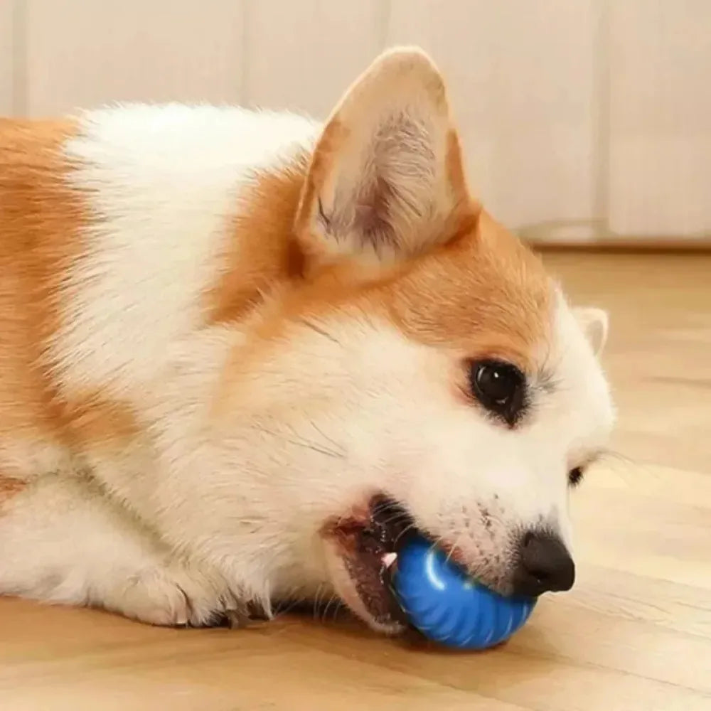 Automatic Moving Dog Toy Ball, USB Rechargeable Smart Interactive Bouncing & Rolling Chew Toy for Puppies & Dogs