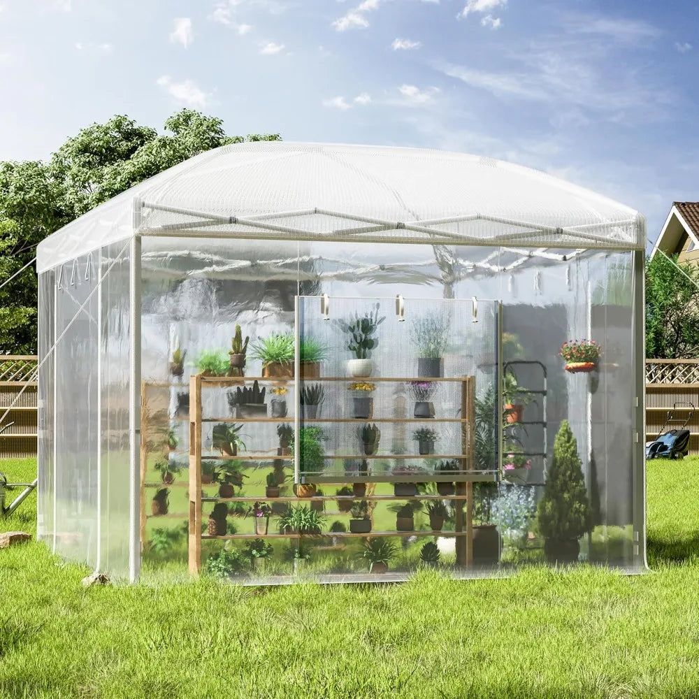 Pop Up Greenhouse With Reinforced Frame And Mesh Windows