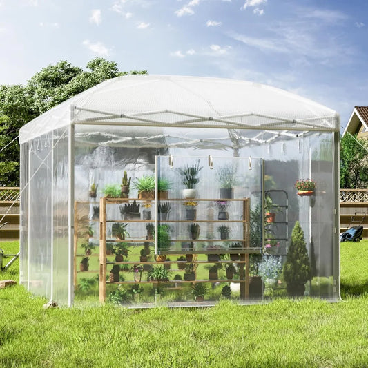 Pop Up Greenhouse With Reinforced Frame And Mesh Windows