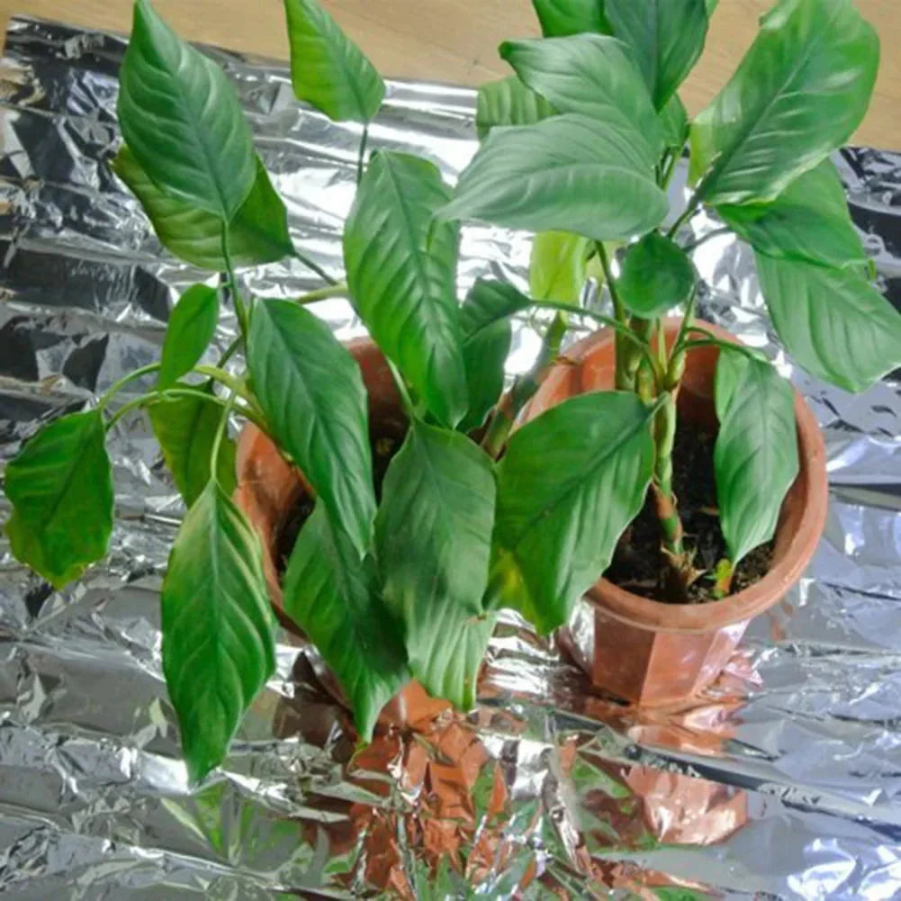 Mylar Reflective Film Sheets For Hydroponics Grow Room Pack