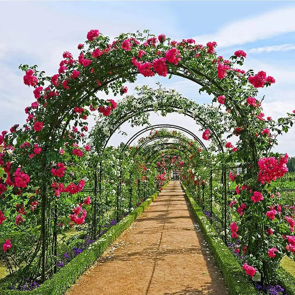 Arch Trellis Metal Garden Plant Stand Weather Resistant Pergola