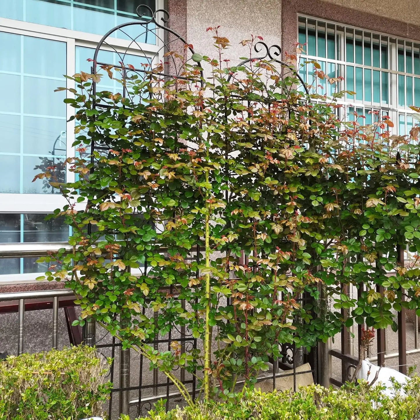 Twister.CK Garden Trellises 4 Pack Metal Plant Support